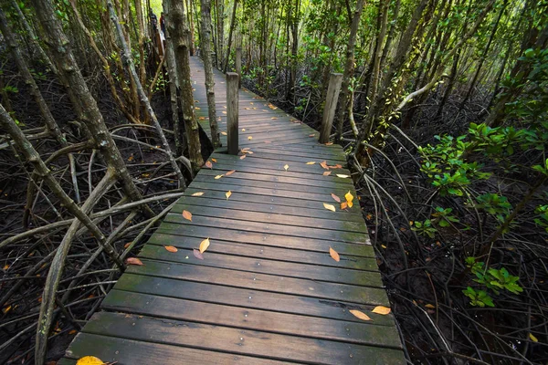 Tung Prong Tangası - Pak Nam Krasae 'deki Mangrove Ormanı Boardwalk, Klaeng Bölgesi, Rayong, Tayland