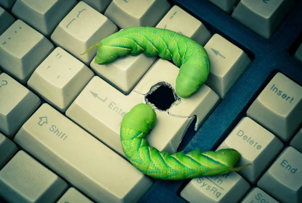 Computer Security Breach Due Worm Attack — Stock Photo, Image