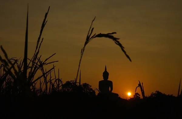 Napkelte Előtt Egy Buddhista Szobor — Stock Fotó