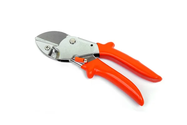 Pruning Shears Isolated White Background — Stock Photo, Image