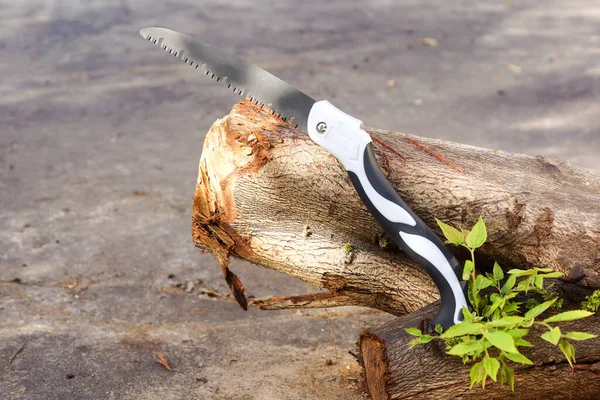 Poda Serra Log — Fotografia de Stock