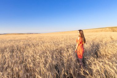 Genç esmer kadınlar buğday tarlasına bakıyor..