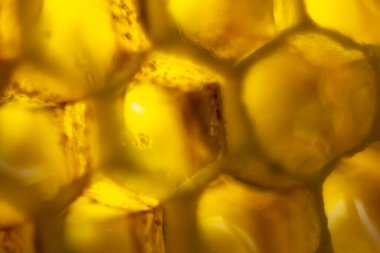 Bal peteğinin bulanık dokusu. Makro