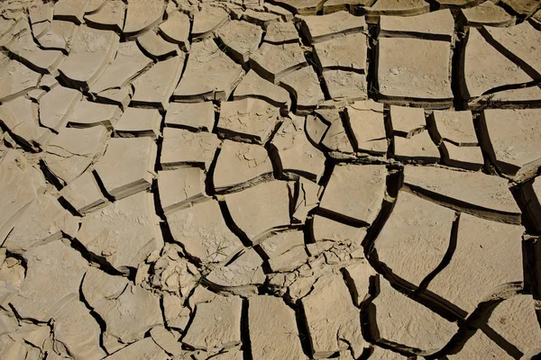 Textura de tierra agrietada seca — Foto de Stock