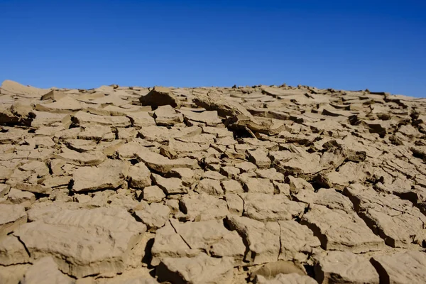 Textura seca da terra rachada — Fotografia de Stock