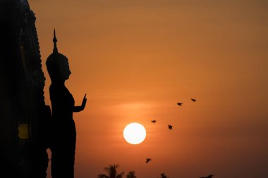 Siluet genel büyük beyaz Buda