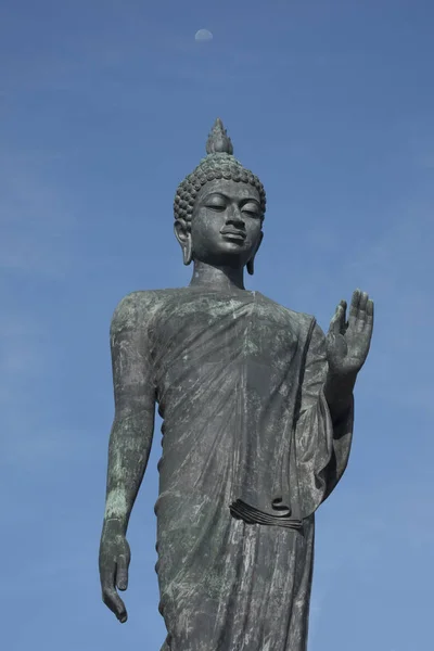 Statua di Buddha sembra adorazione pacifica — Foto Stock