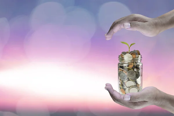 Mão de homem com moedas de dinheiro e semente em garrafa . Imagens Royalty-Free