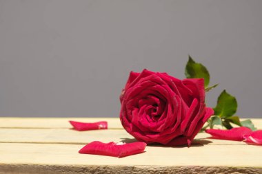 Ahşap masada kırmızı gül ile natürmort