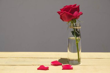 Ahşap masada kırmızı gül ile natürmort
