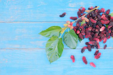 dut meyvesi ve dut yaprağı ahşap masa arkasında. 