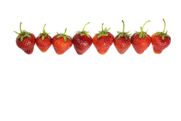 Strawberries Row White Background Copy Space — Stock Photo, Image