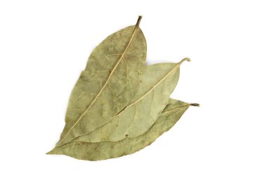 Körfez yaprakları beyaz üzerine izole