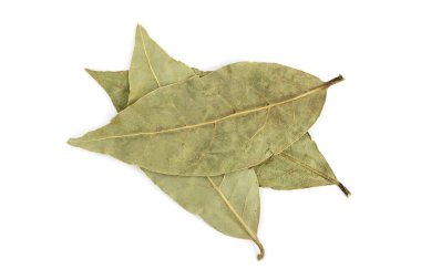 Körfez yaprakları beyaz üzerine izole