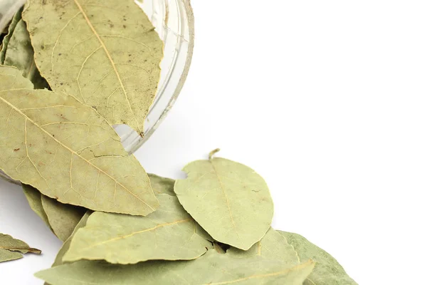 Bay Leaves Poured Out Jar Isolated White — Stock Photo, Image