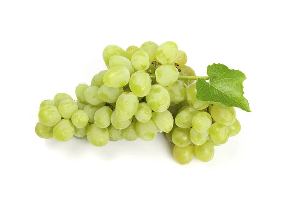 Groene Druiven Geïsoleerd Wit — Stockfoto