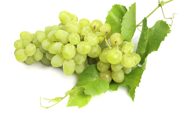 Uvas Verdes Isoladas Branco — Fotografia de Stock