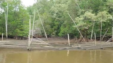 Konserve deniz doğa ortamı iletmek neredeyse mangrov orman Nehri Haliç, teknemi başka yere görünümü