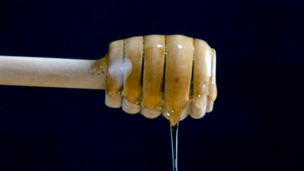 Pouring Honey Dipper Stick Black Background — Stock Video