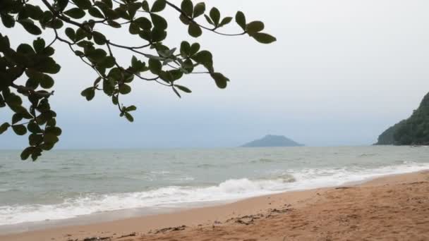 Praia Areia Com Onda Mar Selecione Foco Profundidade Rasa Campo — Vídeo de Stock