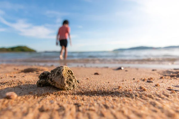 Landschaft Des Sommers Sandstrand Und Wolkenverhangener Blauer Himmel Landschaft Des — Stockfoto