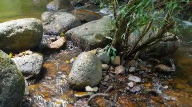 4 k doğal doğa şelaleler streams 