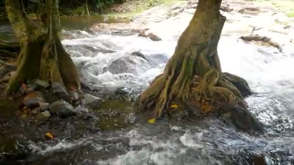 Schilderachtige Natuur Stromen Van Watervallen — Stockvideo