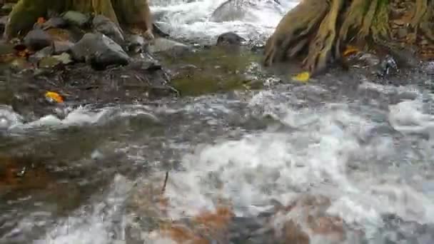 Schilderachtige Natuur Stromen Van Watervallen — Stockvideo