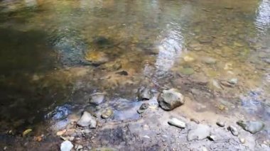 4 k doğal doğa şelaleler streams 