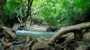 4 k doğal doğa şelaleler streams 
