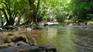 4 k doğal doğa şelaleler streams 