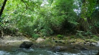 4 k doğal doğa şelaleler streams 