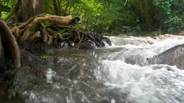 瀑布风景秀丽的自然溪流 — 图库视频影像