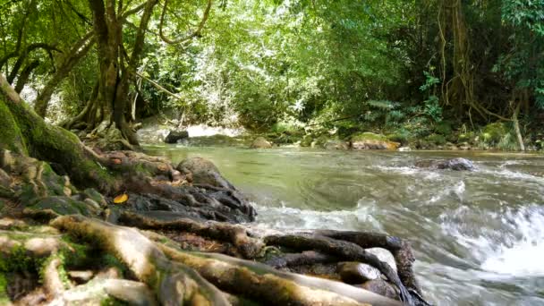 瀑布风景秀丽的自然溪流 — 图库视频影像