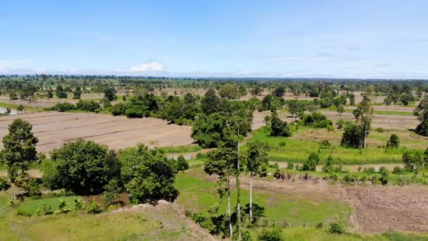 Drone Tiro Vista Aérea Paisagem Cênica Fazenda Agricultura Campo Seco — Vídeo de Stock