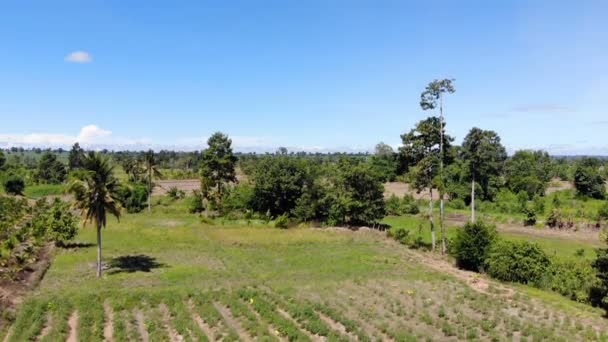 Drone Menembak Pandangan Udara Pemandangan Pemandangan Pertanian Pertanian Pedesaan Kering — Stok Video