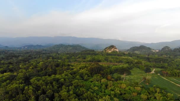Drone Shot Flygfoto Natursköna Landskapet Naturen Tropisk Skog — Stockvideo