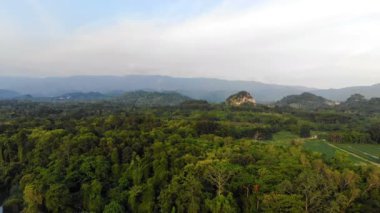4 k uçağın shot havadan görünümü doğal manzara doğa tropikal orman