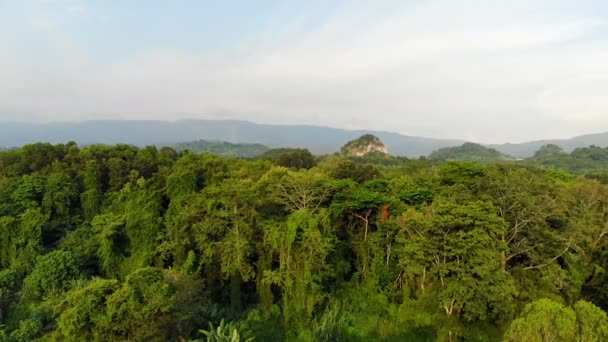 自然熱帯林の ドローンのショット撮風光明媚な風景 — ストック動画