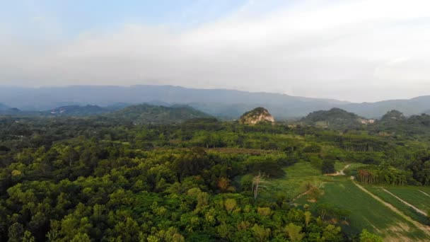 Drone Tiro Vista Aérea Paisagem Cênica Natureza Floresta Tropical — Vídeo de Stock