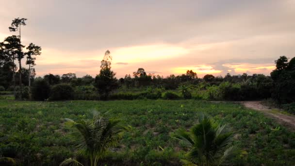 Drone Tiro Vista Aérea Crepúsculo Paisaje Escénico Granja Agrícola Campo — Vídeos de Stock