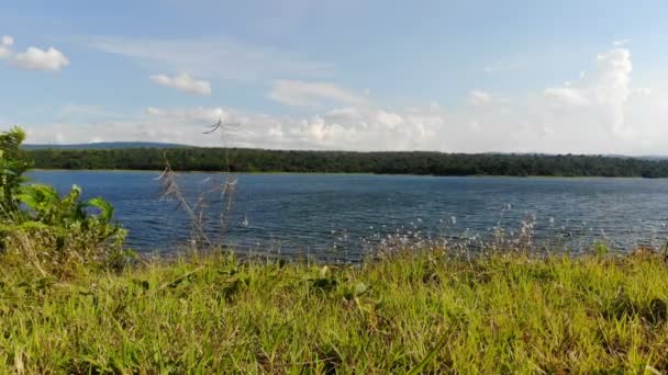 小花草对水库大坝风景区景观的危害 — 图库视频影像