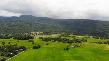 4 k dron shot havadan görünümü doğal peyzaj tarım çiftliği kuru kırsal kesimde