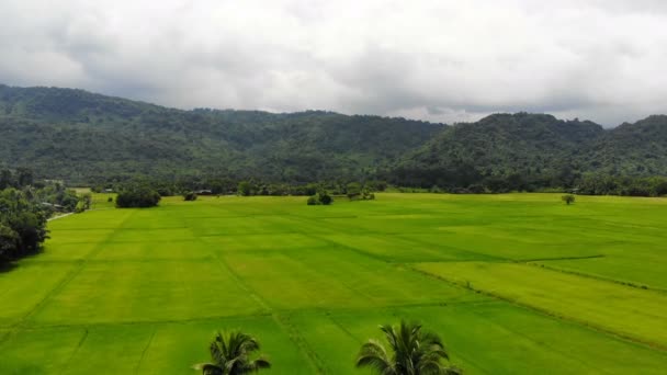 Drone Tiro Vista Aérea Paisagem Cênica Fazenda Agricultura Campo Seco — Vídeo de Stock