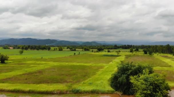 Drone Tiro Vista Aérea Paisagem Cênica Fazenda Agricultura Campo Seco — Vídeo de Stock