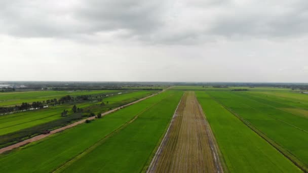 Drone Shot Flygfoto Naturskönt Landskap Jordbruk Gård Landsbygden — Stockvideo
