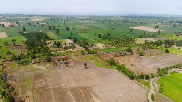 Drone Shot Vista Aerea Paesaggio Panoramico Della Fattoria Agricola Campagna — Video Stock