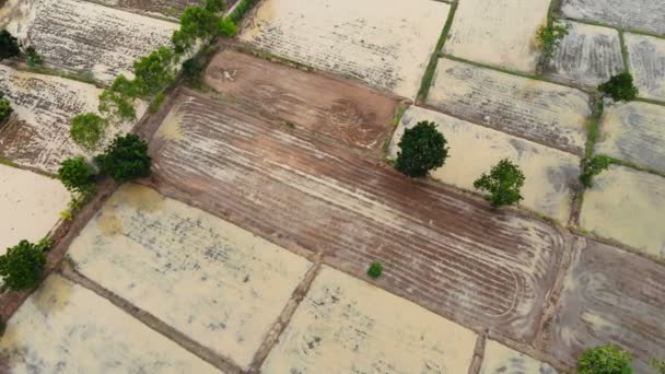 Drone Tiro Vista Aérea Paisagem Cênica Agricultura Fazenda Campo — Vídeo de Stock