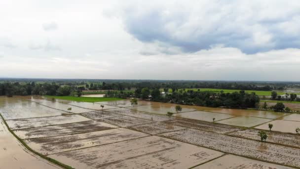 Drohne Schoss Luftaufnahme Malerische Landschaft Der Landwirtschaft Bauernhof Auf Dem — Stockvideo