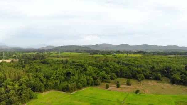 Drone Shot Vue Aérienne Paysage Pittoresque Agriculture Ferme Campagne — Video